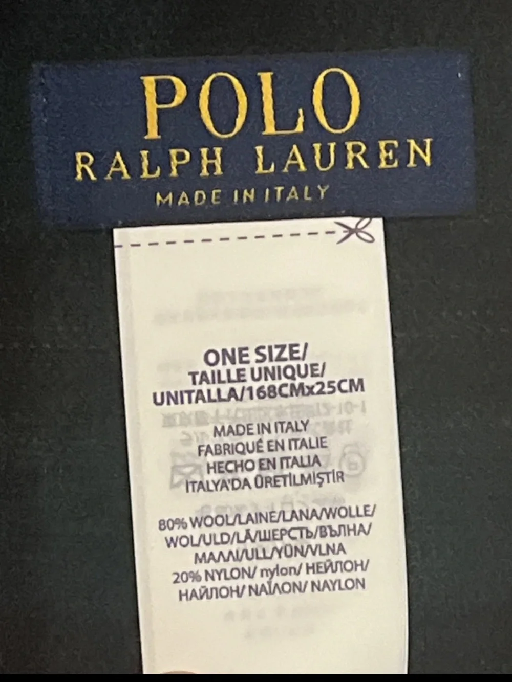 Polo by Ralph Lauren Reversible Plaid Scarf in Black & Green with Red Tartan